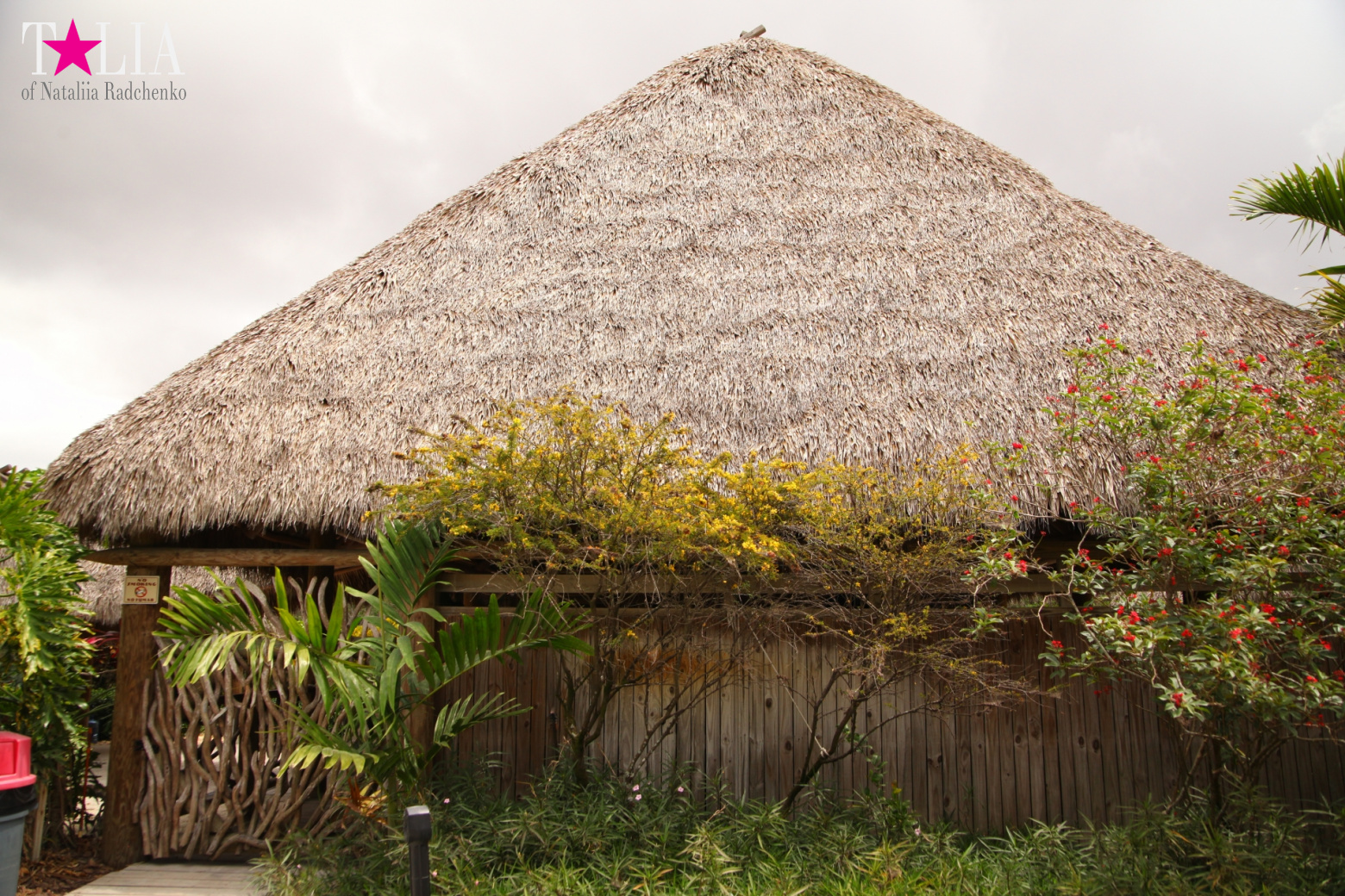 The show with crocodiles and other entertainments of Gator Park, Everglades, Miami
