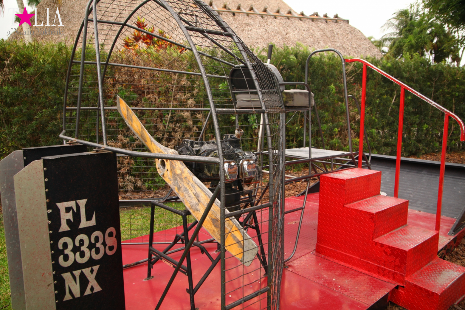 Катание на лодках по болоту с крокодилами в Gator Park, Эверглейдс, Майами