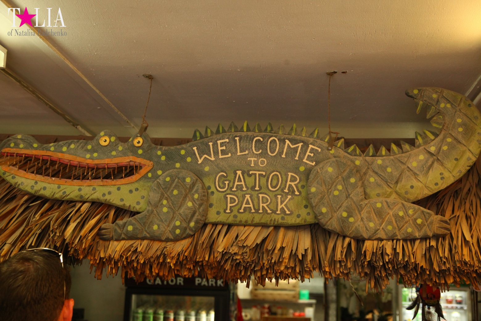 The show with crocodiles and other entertainments of Gator Park, Everglades, Miami