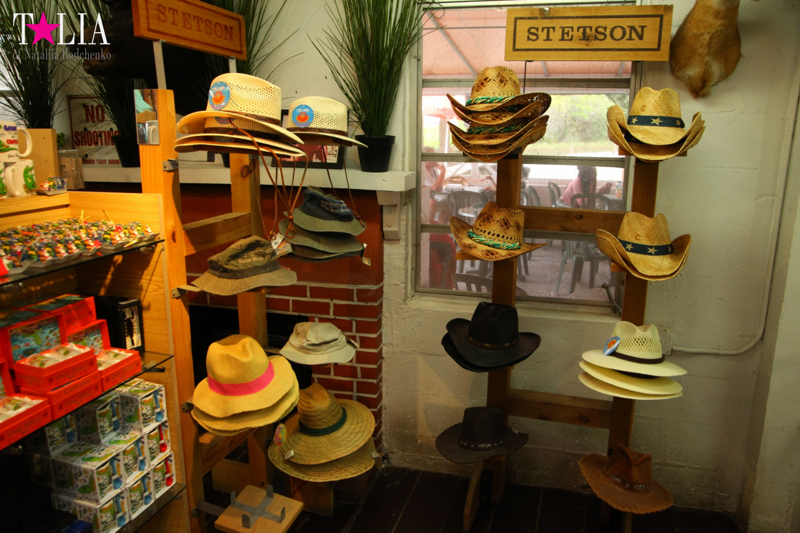 The show with crocodiles and other entertainments of Gator Park, Everglades, Miami