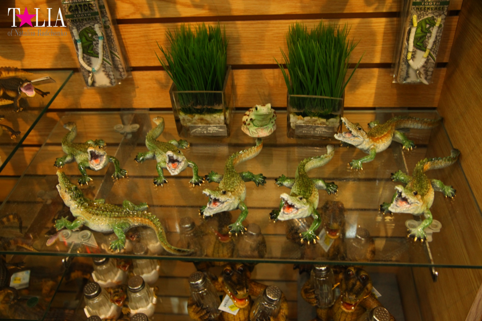 The show with crocodiles and other entertainments of Gator Park, Everglades, Miami