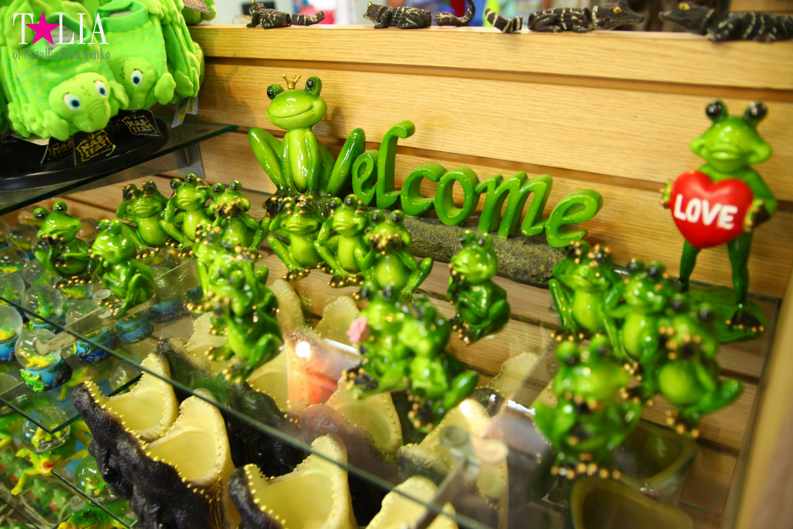 The show with crocodiles and other entertainments of Gator Park, Everglades, Miami