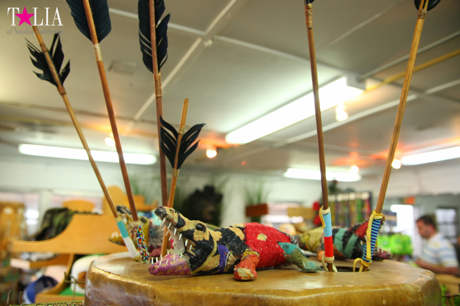 The show with crocodiles and other entertainments of Gator Park, Everglades, Miami