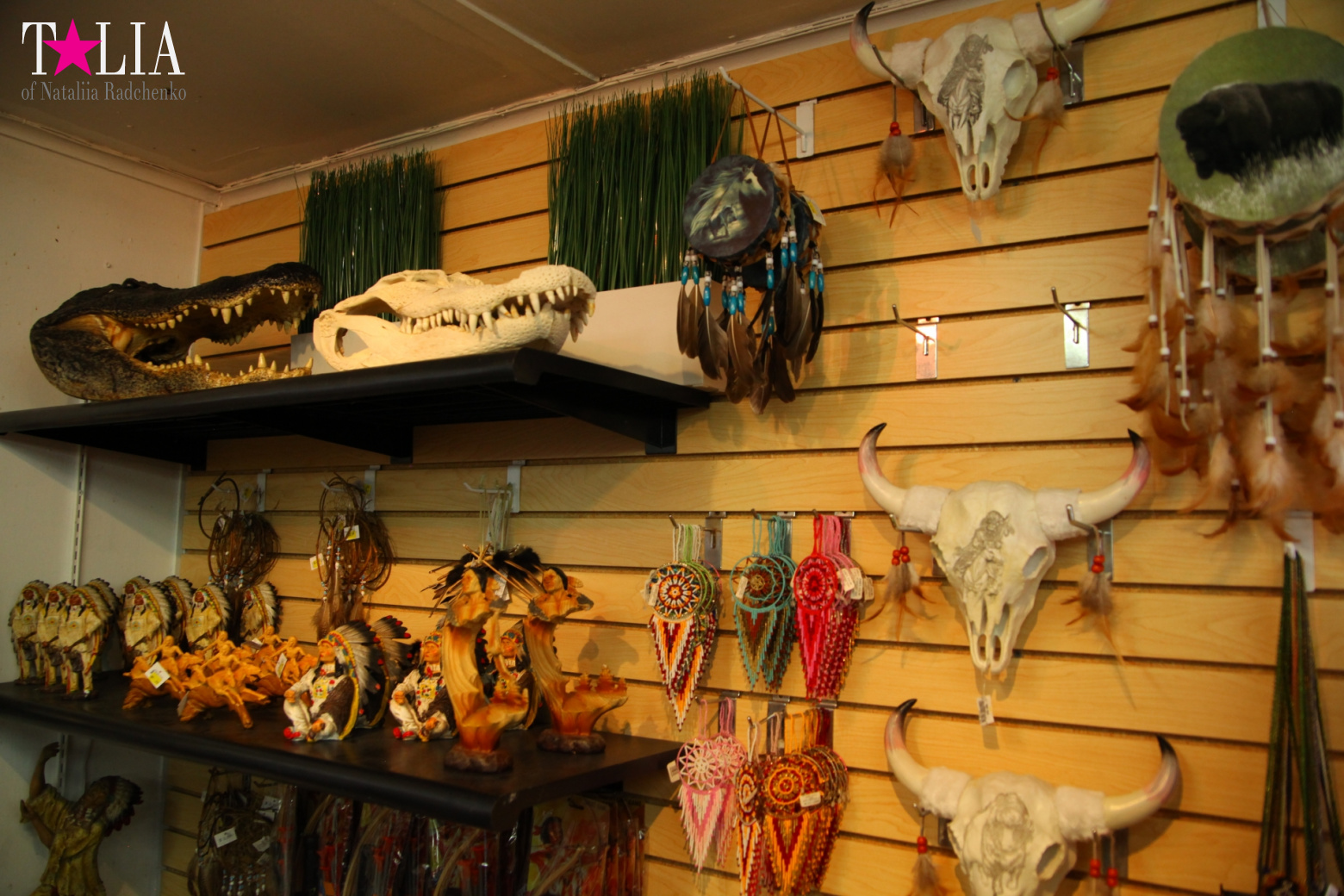 The show with crocodiles and other entertainments of Gator Park, Everglades, Miami