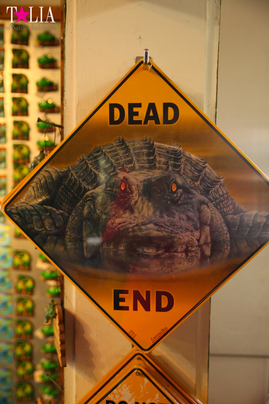 The show with crocodiles and other entertainments of Gator Park, Everglades, Miami