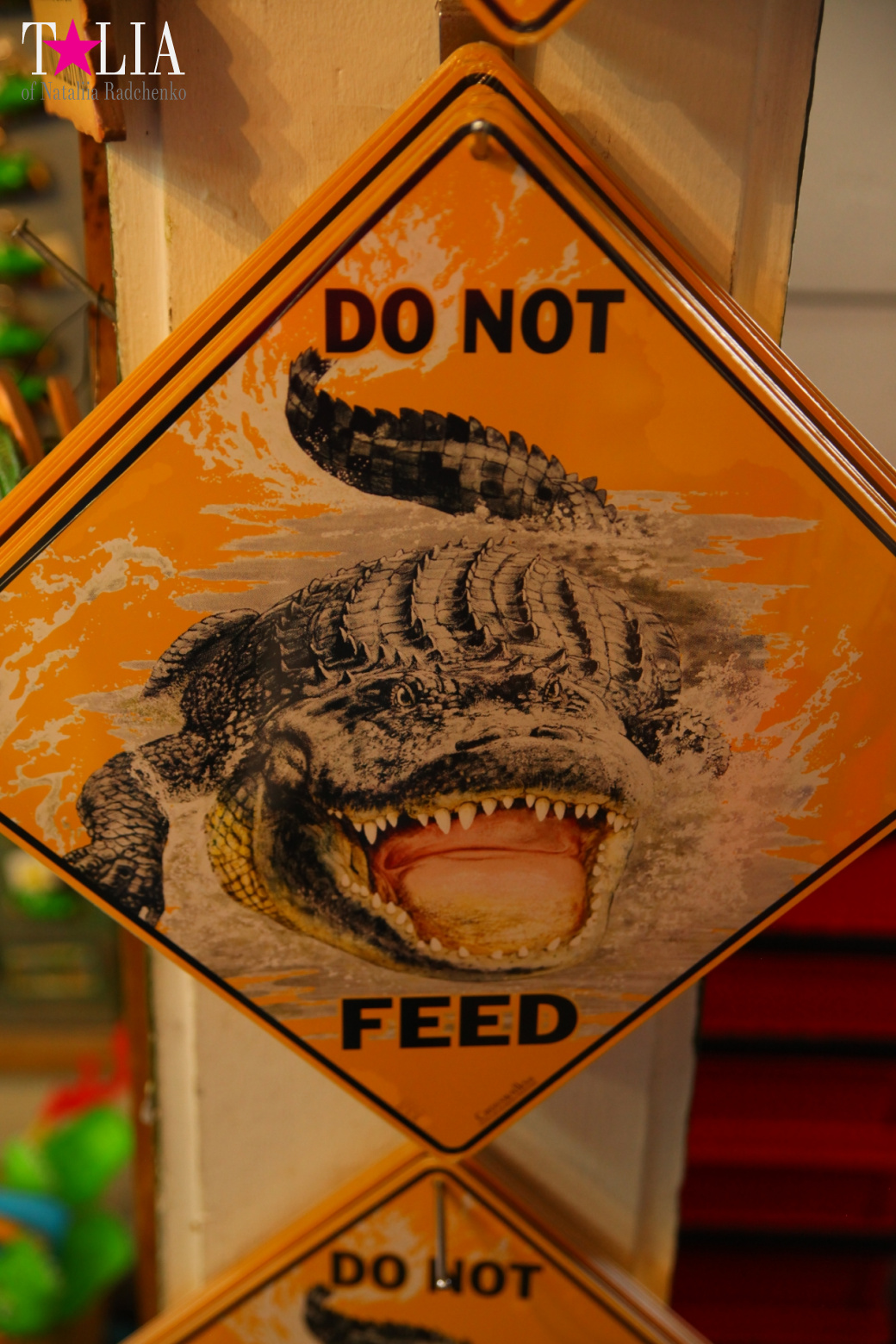 The show with crocodiles and other entertainments of Gator Park, Everglades, Miami