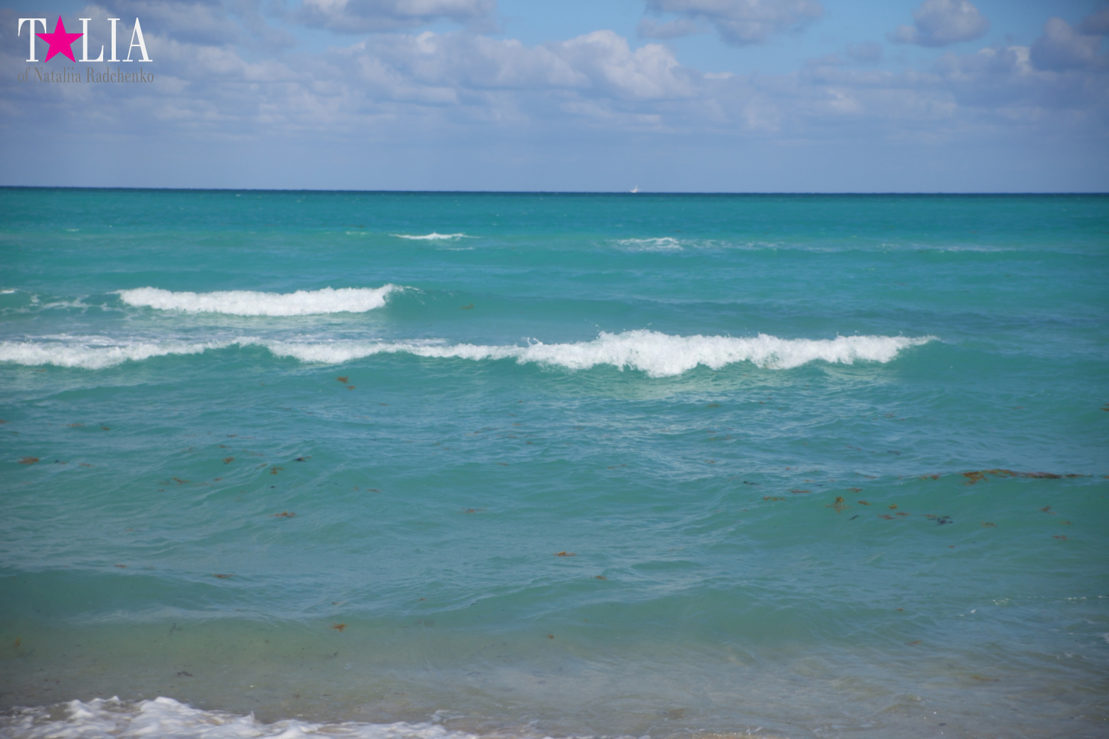 Как поехать из Нью-Йорка в Майами на машине?