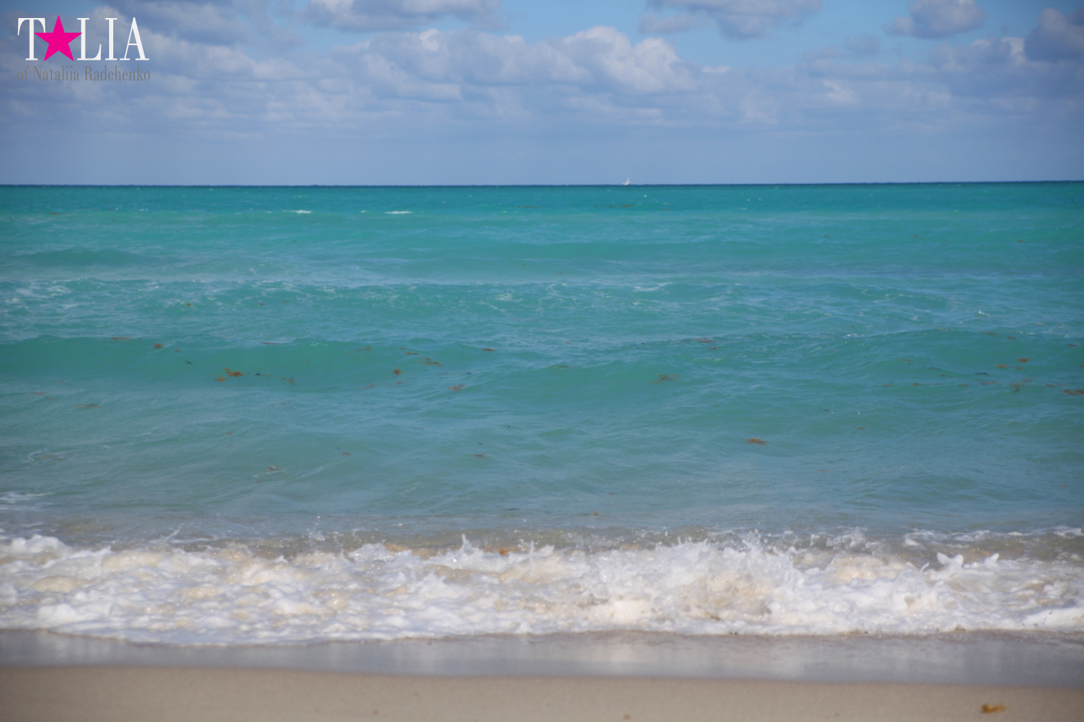 Как поехать из Нью-Йорка в Майами на машине?