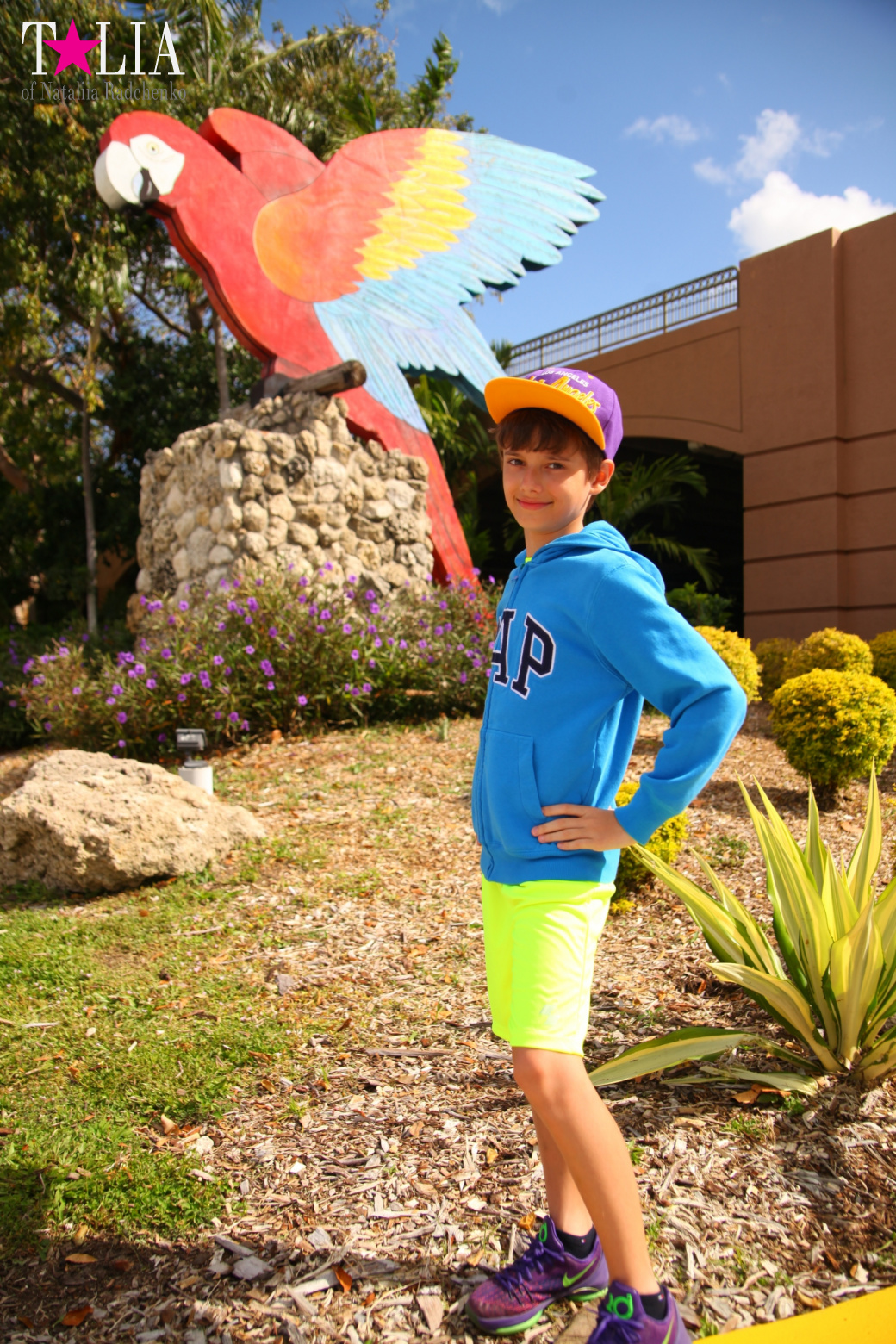 Птицы Джангл Айленд, Майами, Флорида