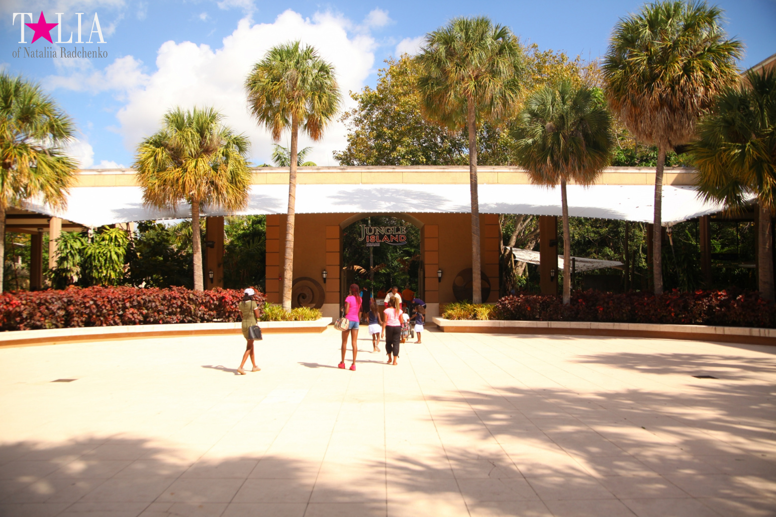 Птицы Джангл Айленд, Майами, Флорида