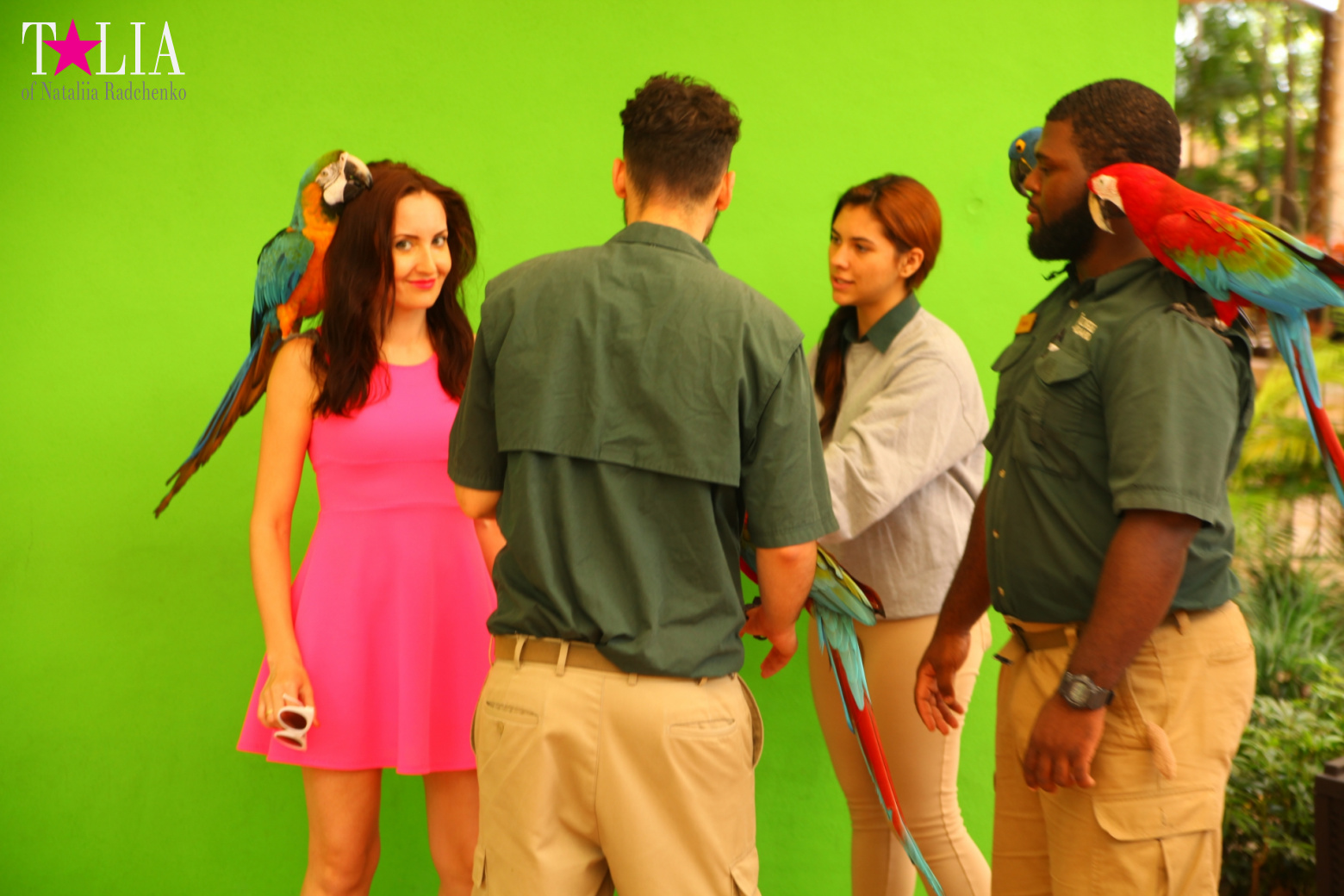 Птицы Джангл Айленд, Майами, Флорида