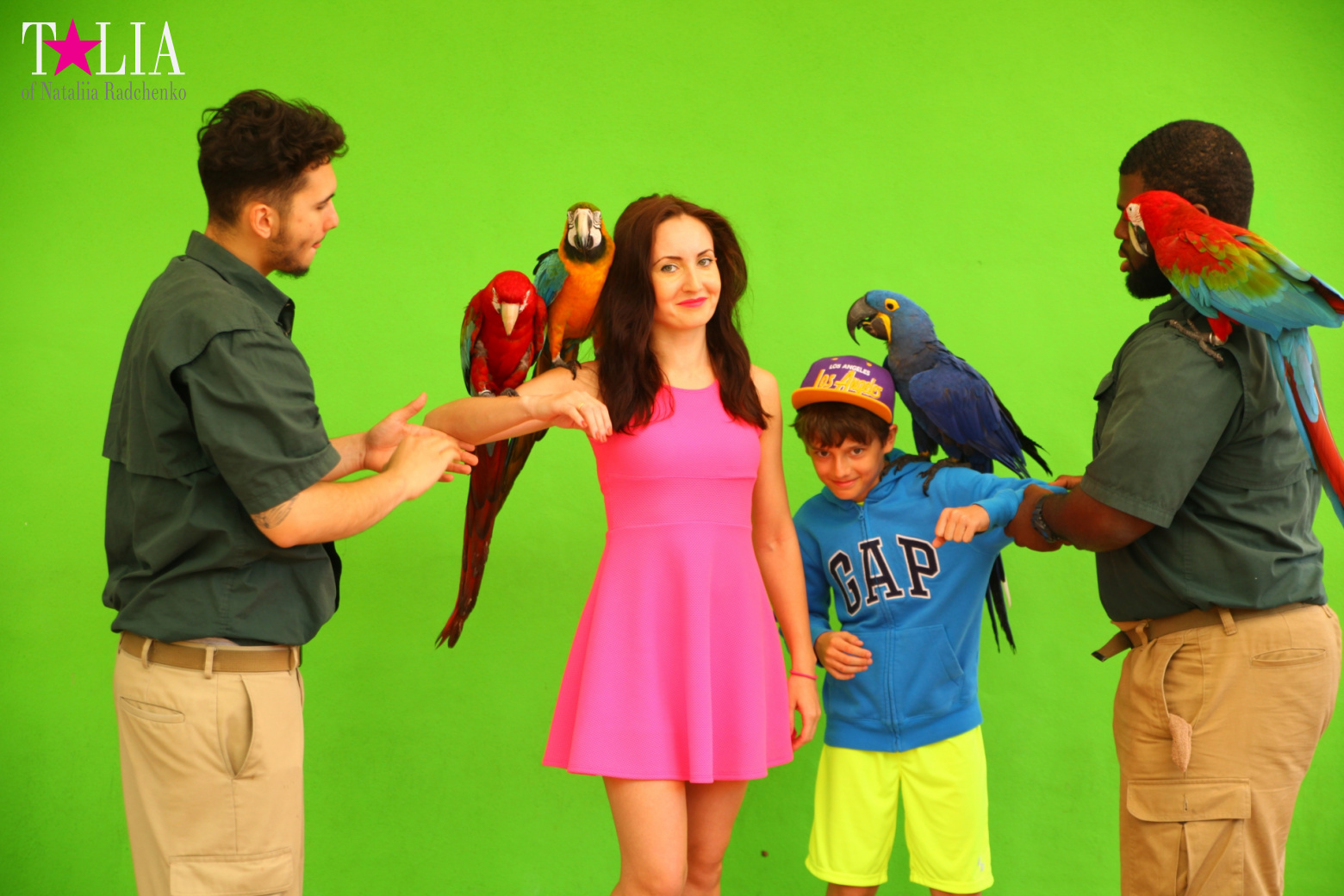 Птицы Джангл Айленд, Майами, Флорида