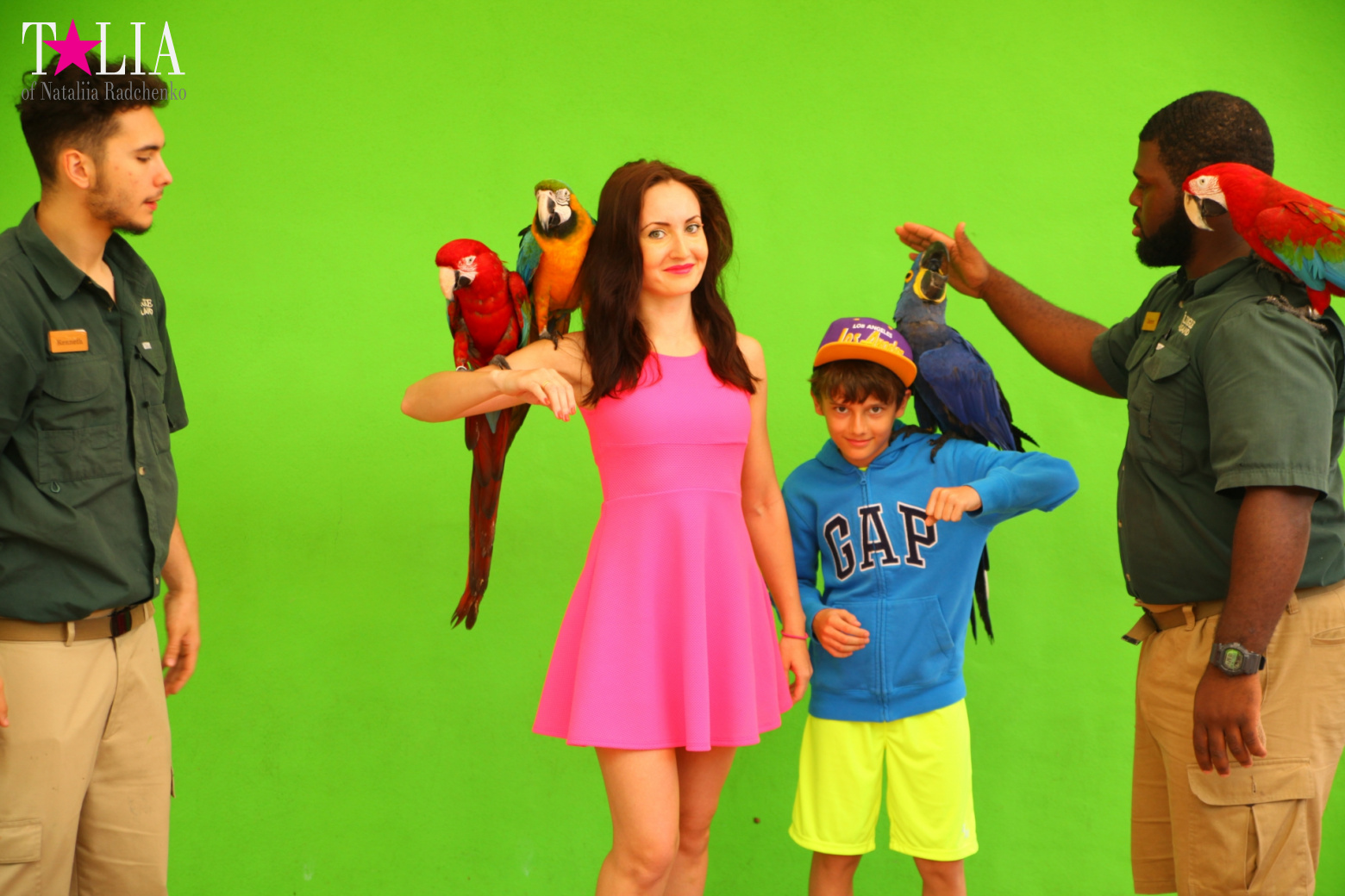 Птицы Джангл Айленд, Майами, Флорида