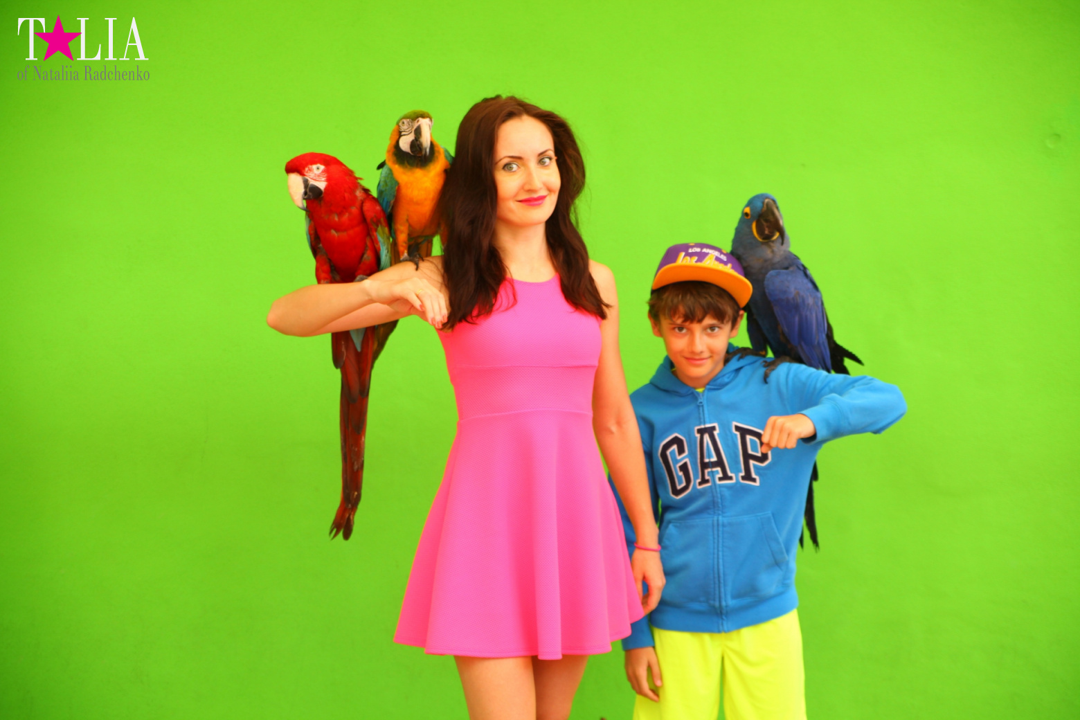 Птицы Джангл Айленд, Майами, Флорида