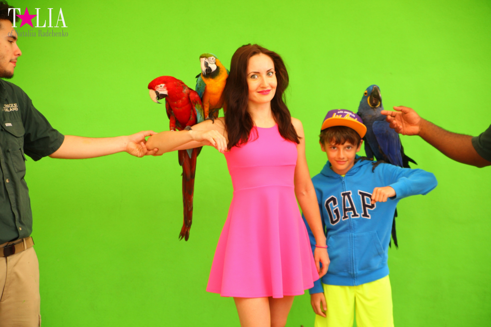 Птицы Джангл Айленд, Майами, Флорида