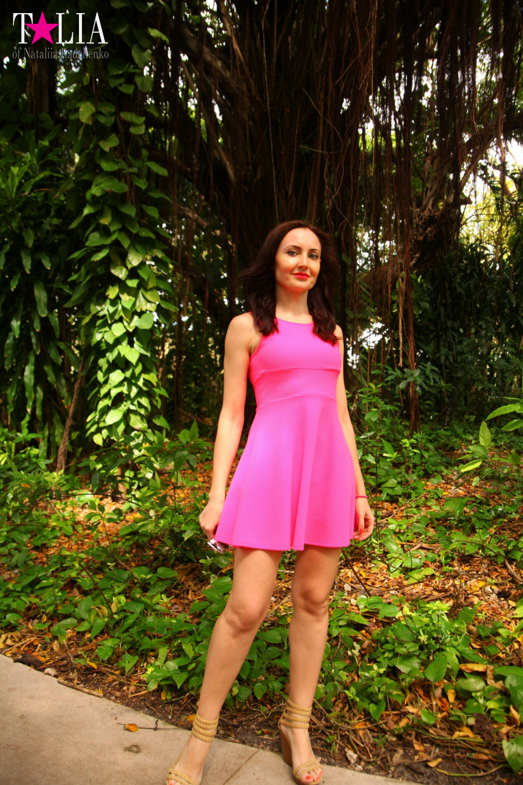 Птицы Джангл Айленд, Майами, Флорида