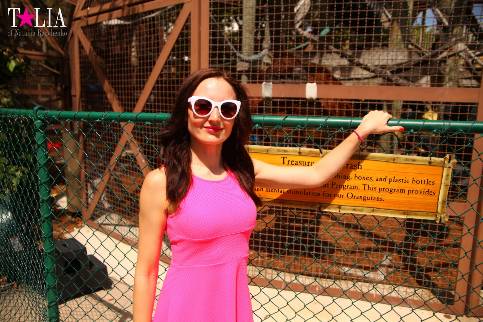 Кенгуру, тигры, черепахи и козлы Джангл Айленд, Майами, Флорида