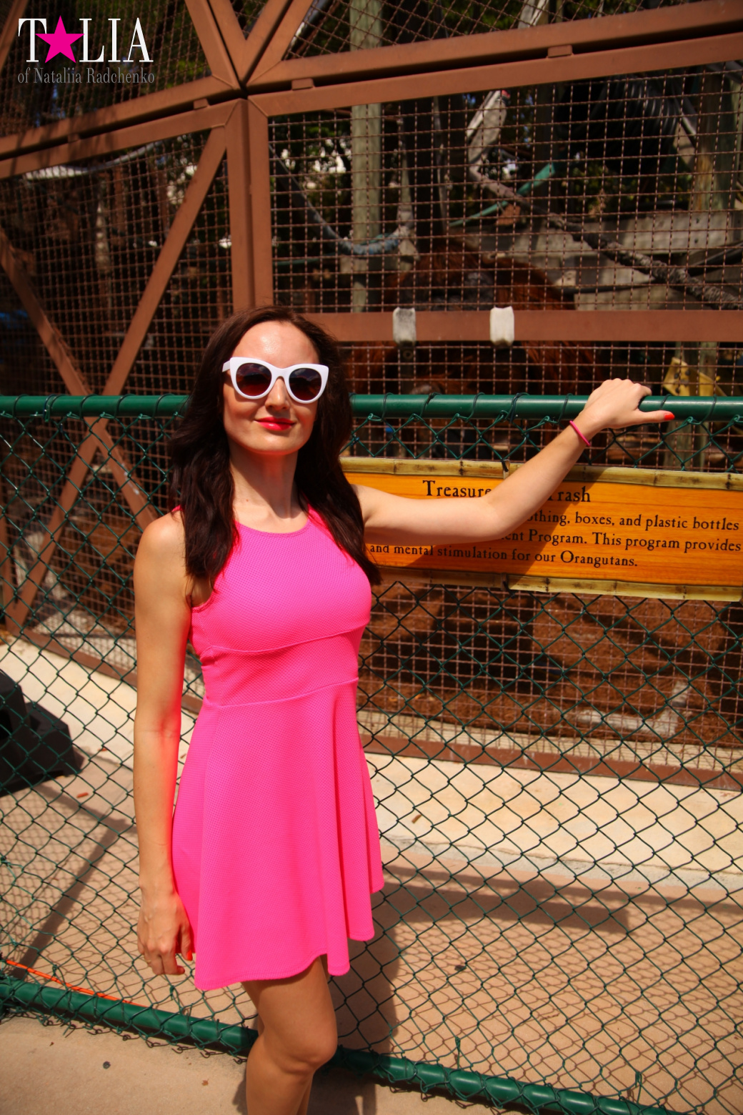 Кенгуру, тигры, черепахи и козлы Джангл Айленд, Майами, Флорида