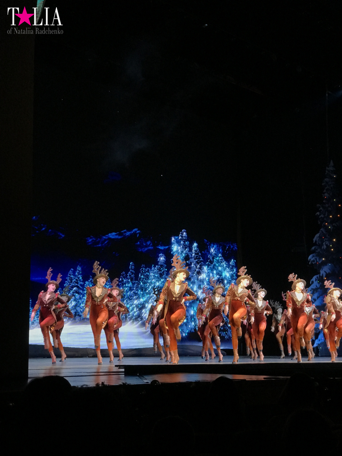 Musical on Broadway "Radio City Christmas Spectacular" with dancers "The Rockettes"