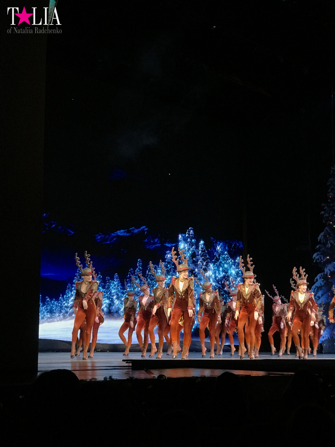 Musical on Broadway "Radio City Christmas Spectacular" with dancers "The Rockettes"