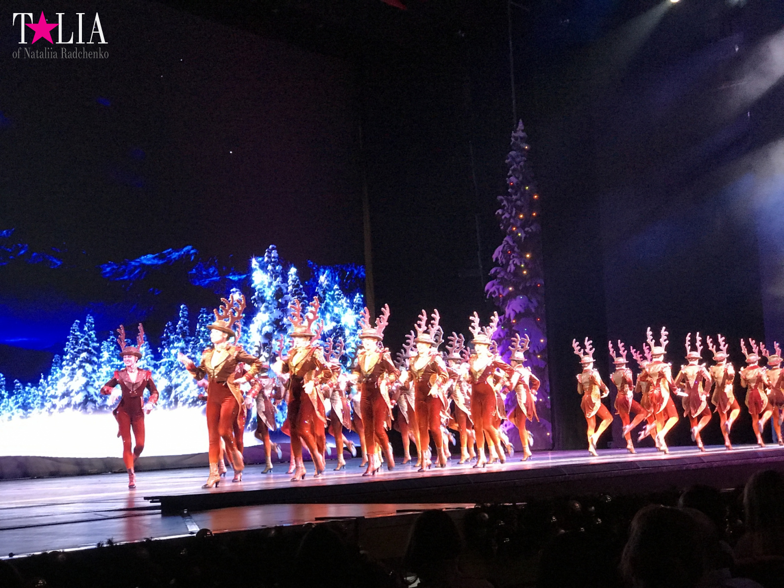 Musical on Broadway "Radio City Christmas Spectacular" with dancers "The Rockettes"