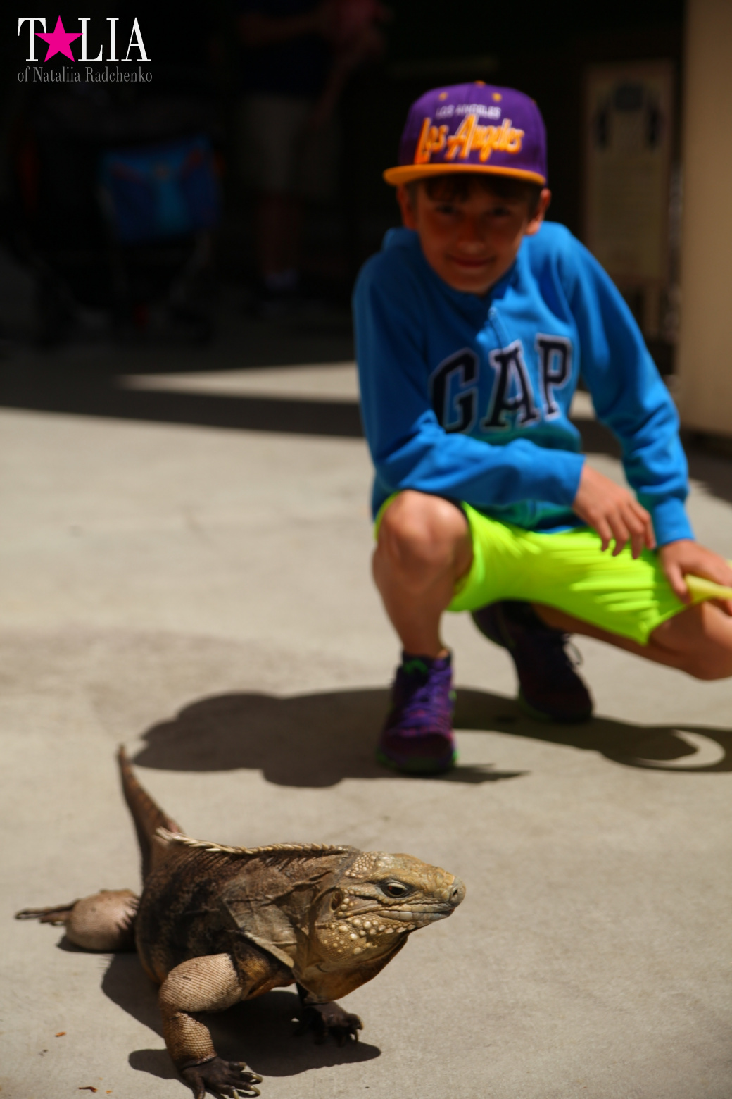 Кенгуру, тигры, черепахи и козлы Джангл Айленд, Майами, Флорида