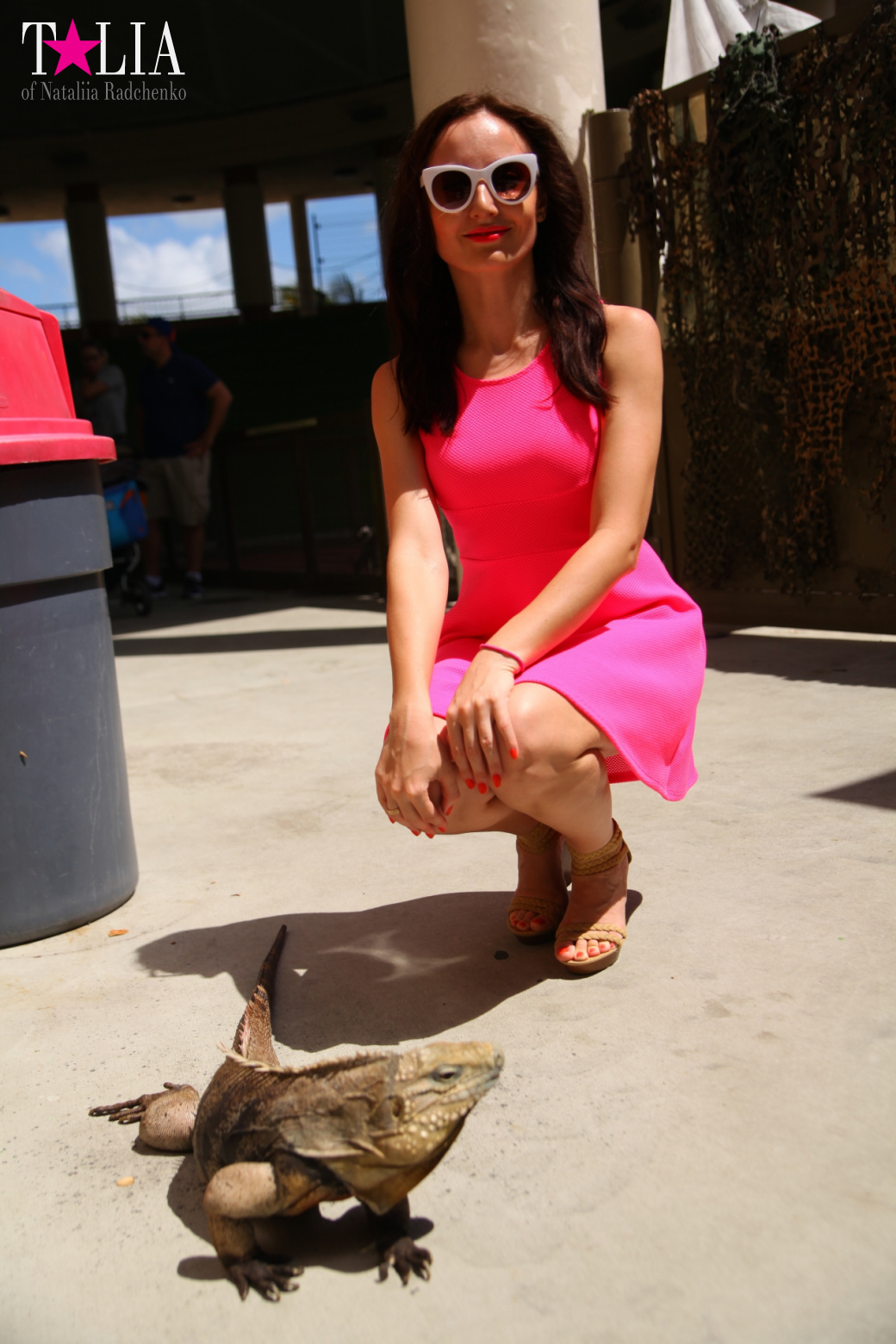 Кенгуру, тигры, черепахи и козлы Джангл Айленд, Майами, Флорида