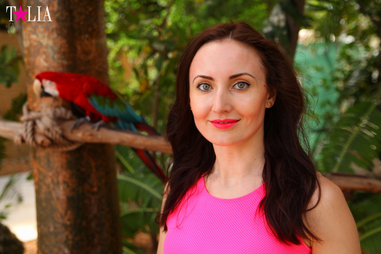 Птицы Джангл Айленд, Майами, Флорида