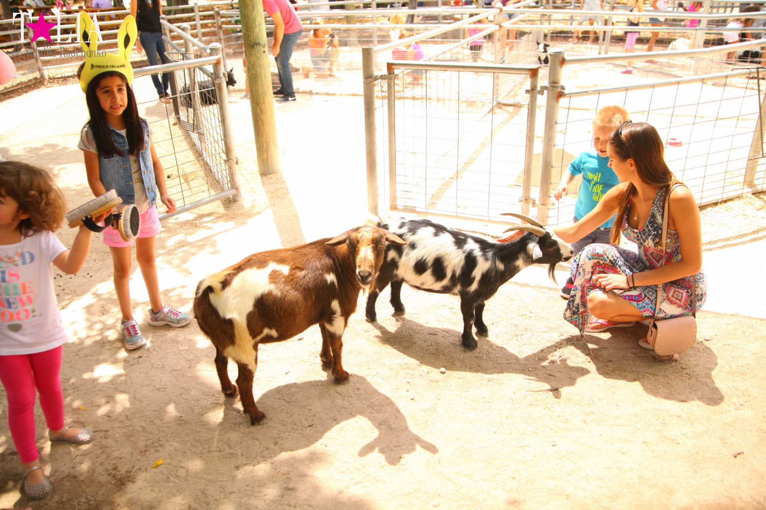 Кенгуру, тигры, черепахи и козлы Джангл Айленд, Майами, Флорида