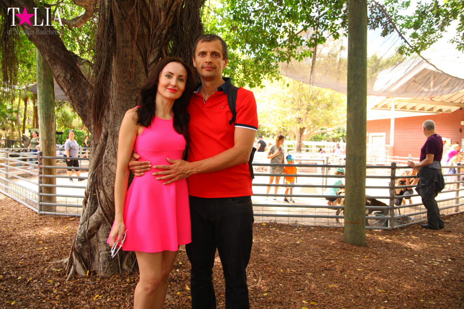 Кенгуру, тигры, черепахи и козлы Джангл Айленд, Майами, Флорида