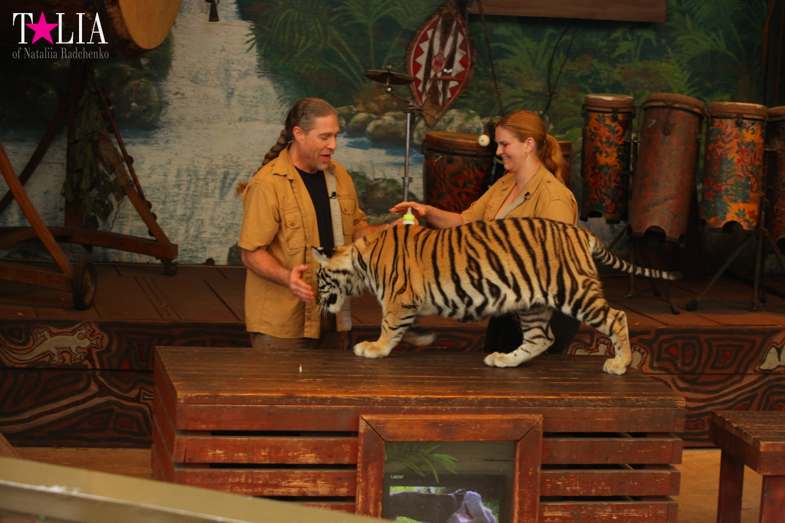 Кенгуру, тигры, черепахи и козлы Джангл Айленд, Майами, Флорида