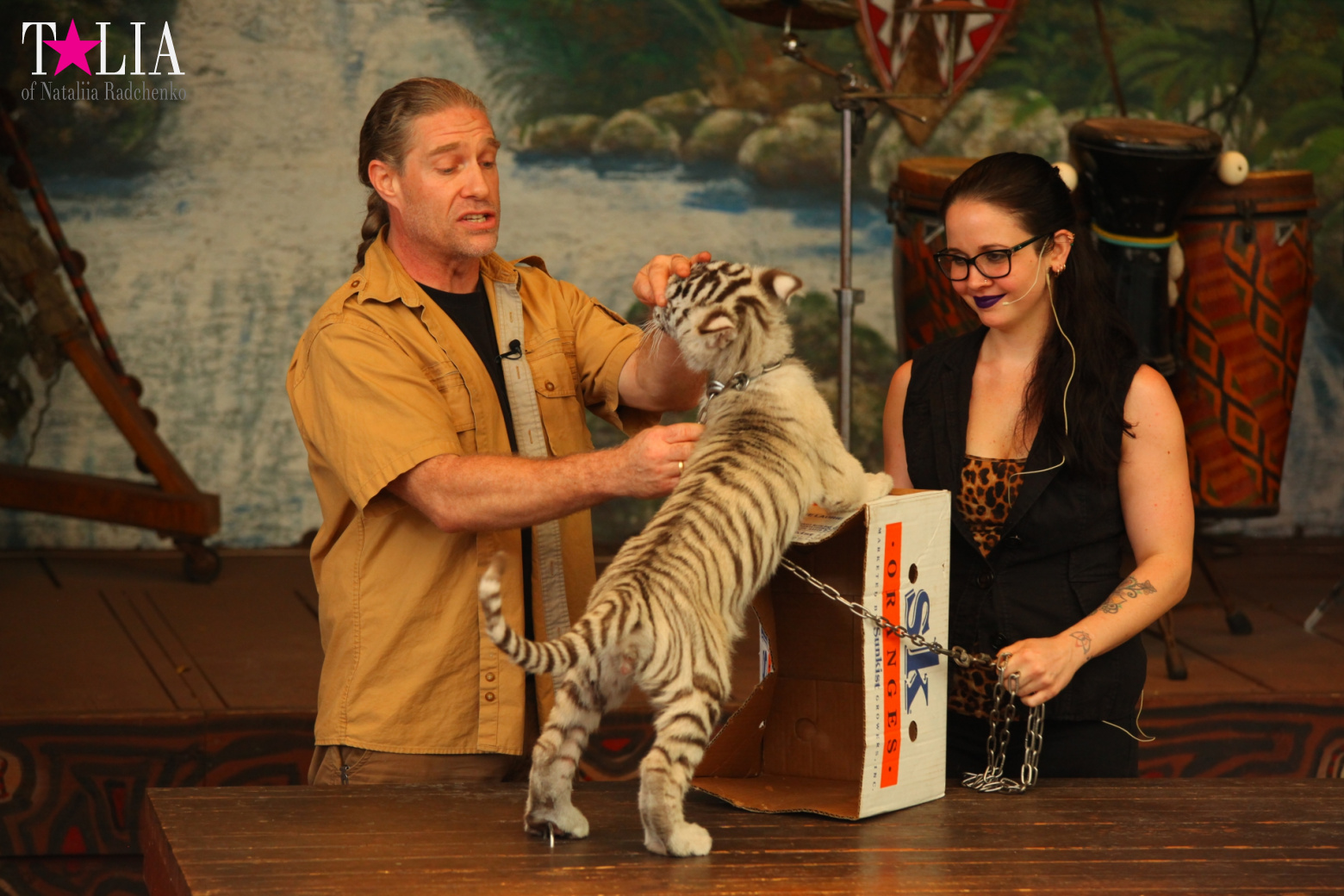 Кенгуру, тигры, черепахи и козлы Джангл Айленд, Майами, Флорида