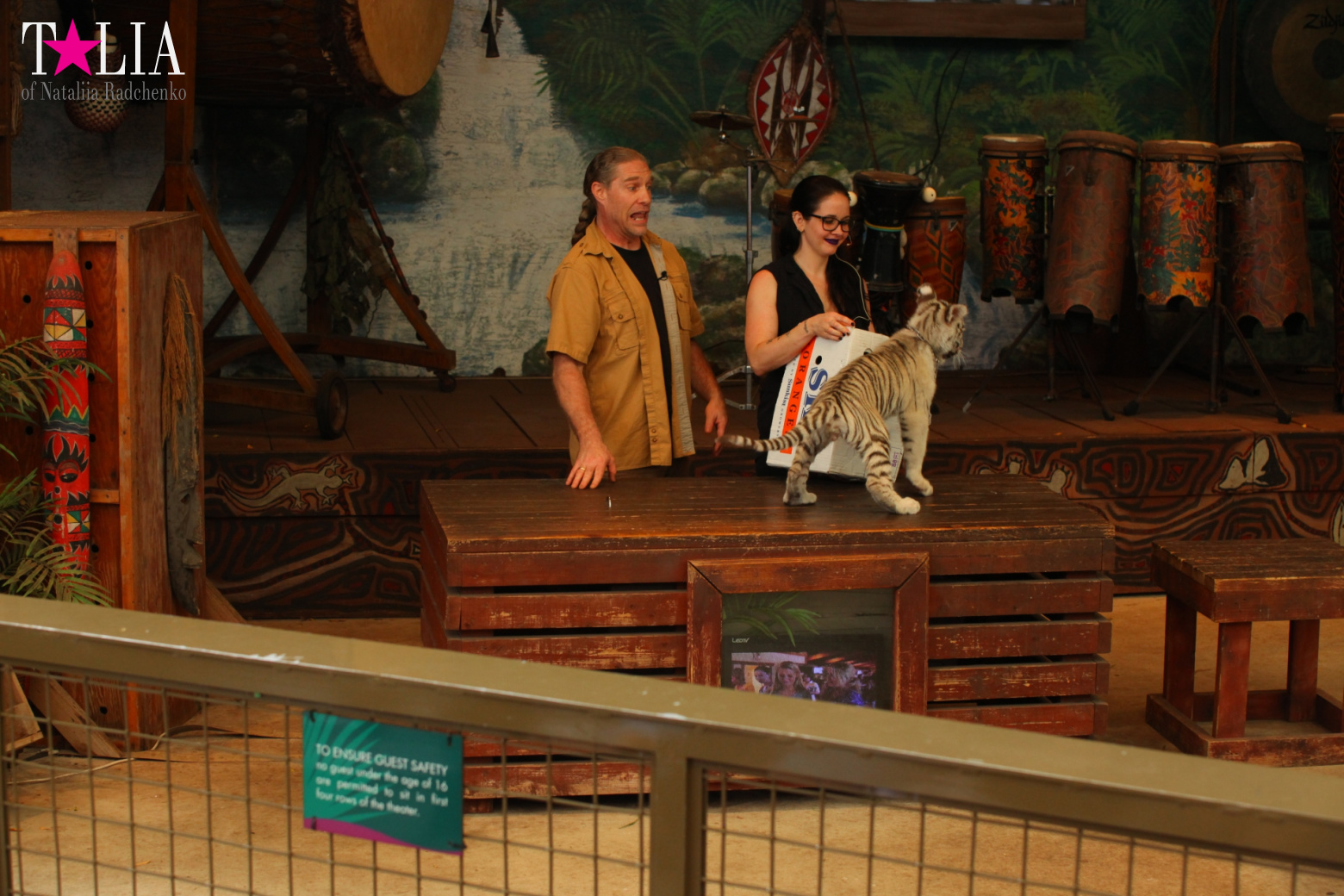 Кенгуру, тигры, черепахи и козлы Джангл Айленд, Майами, Флорида