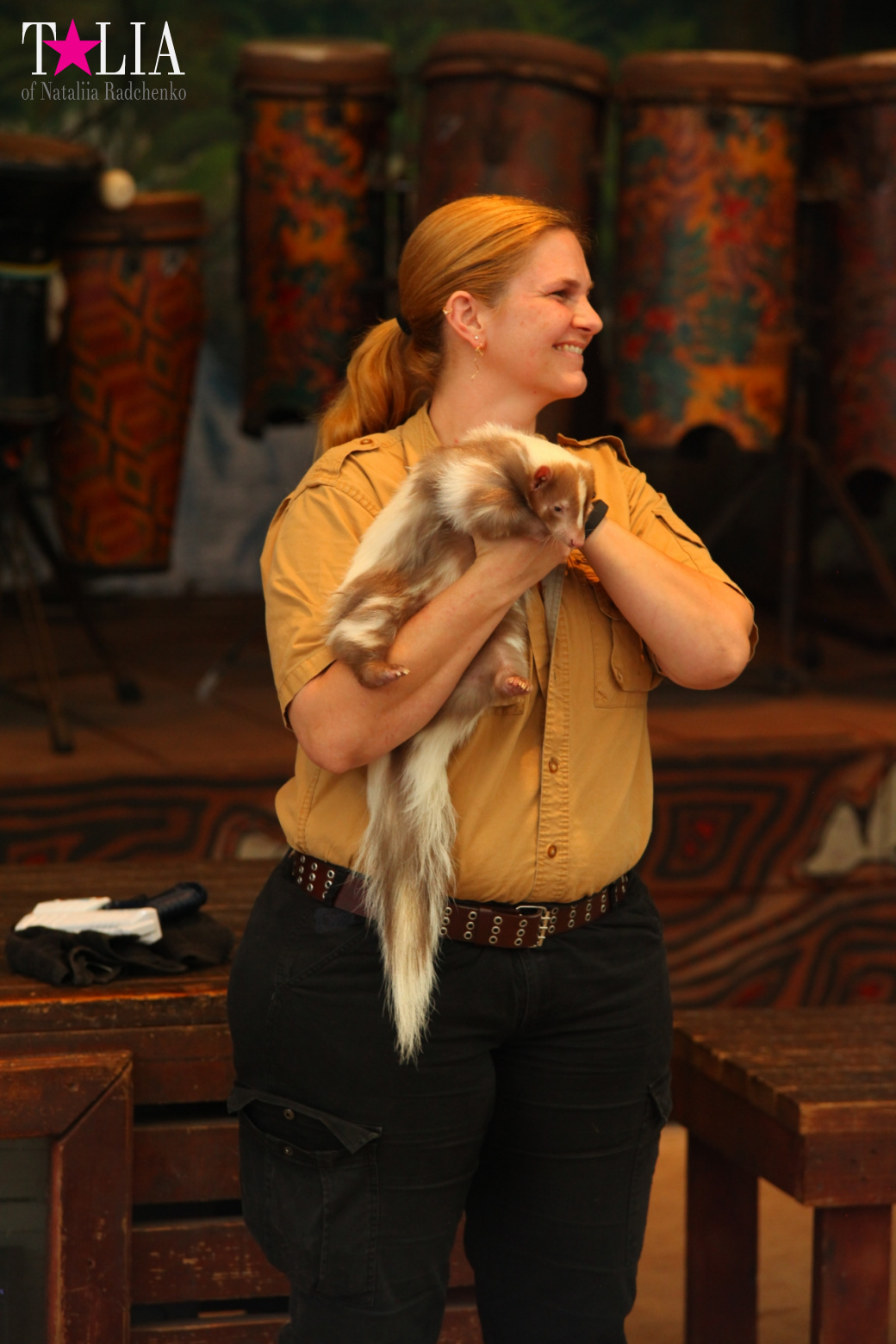 Кенгуру, тигры, черепахи и козлы Джангл Айленд, Майами, Флорида