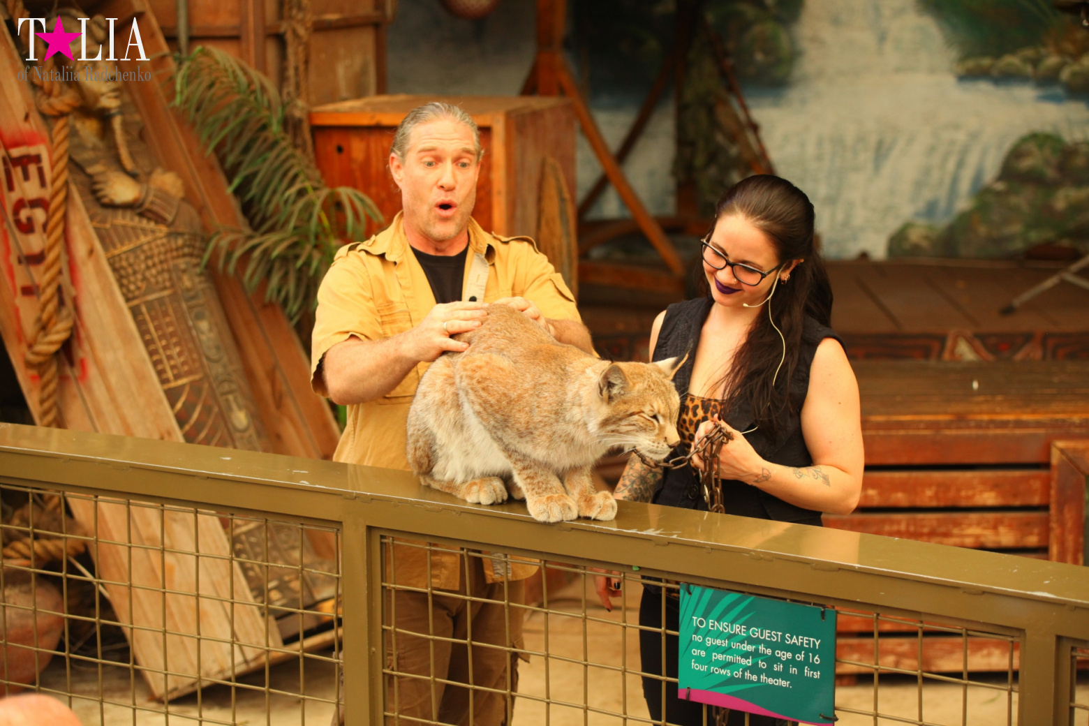 Кенгуру, тигры, черепахи и козлы Джангл Айленд, Майами, Флорида