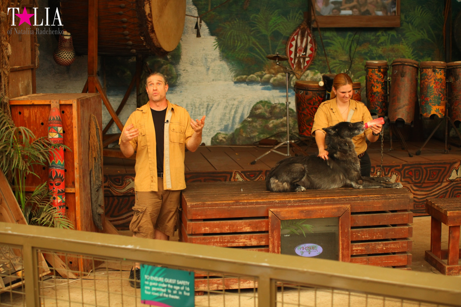 Кенгуру, тигры, черепахи и козлы Джангл Айленд, Майами, Флорида