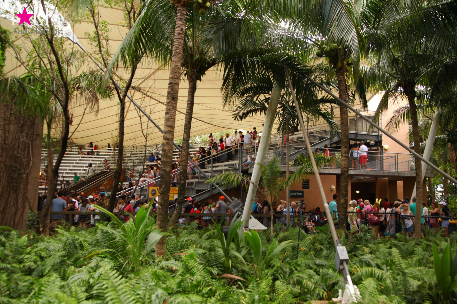 Кенгуру, тигры, черепахи и козлы Джангл Айленд, Майами, Флорида