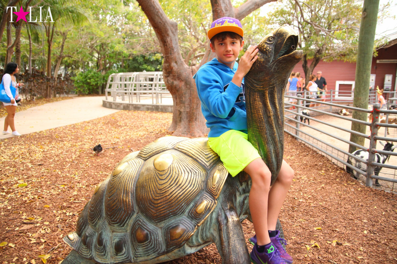 Кенгуру, тигры, черепахи и козлы Джангл Айленд, Майами, Флорида