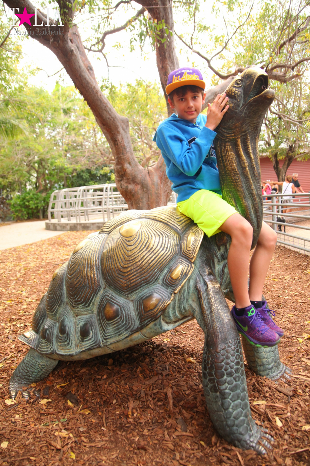 Кенгуру, тигры, черепахи и козлы Джангл Айленд, Майами, Флорида