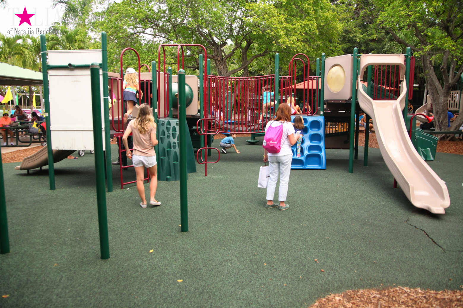 Кенгуру, тигры, черепахи и козлы Джангл Айленд, Майами, Флорида