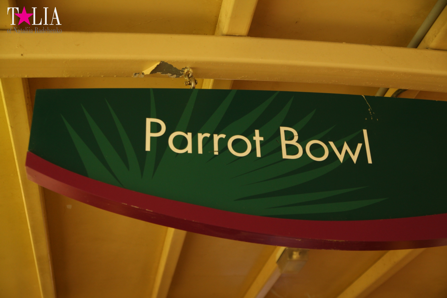 Птицы Джангл Айленд, Майами, Флорида