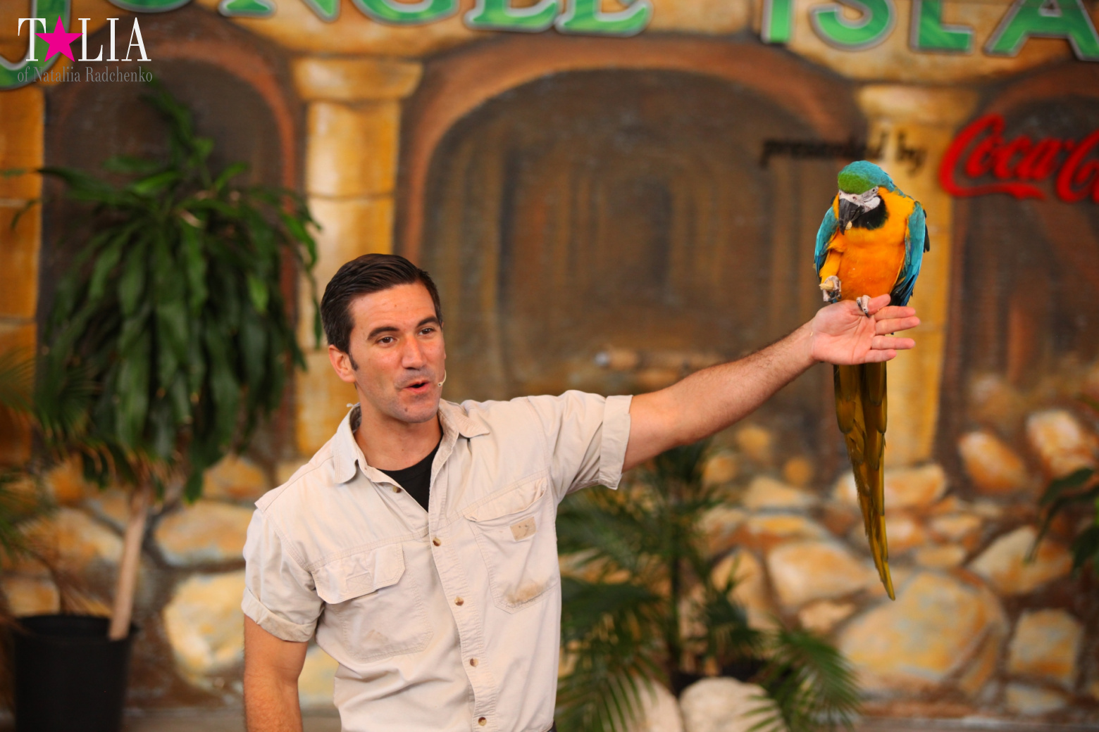 Птицы Джангл Айленд, Майами, Флорида