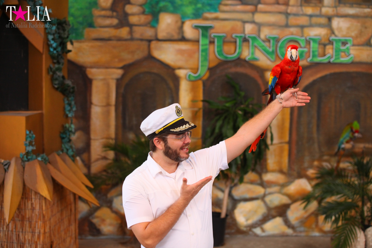 Птицы Джангл Айленд, Майами, Флорида