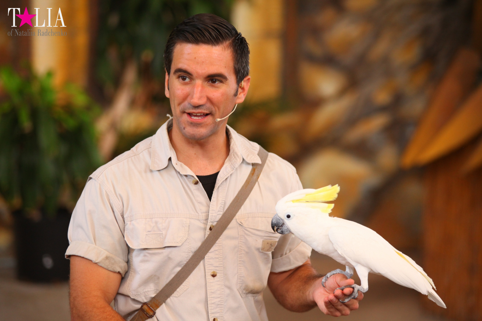 Птицы Джангл Айленд, Майами, Флорида