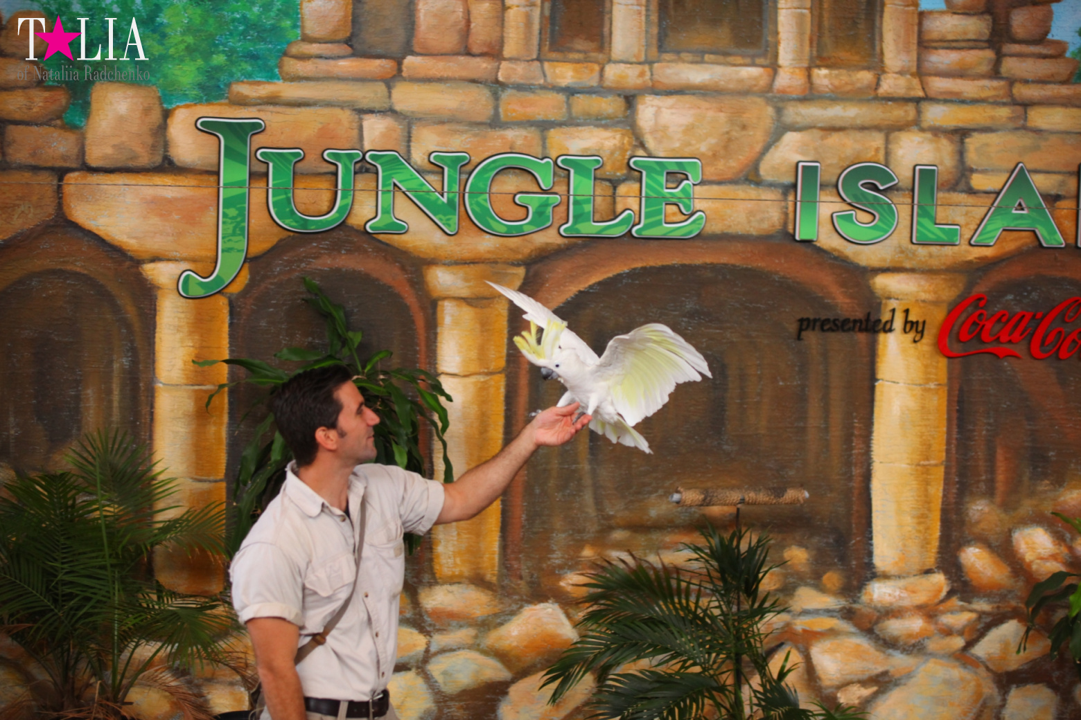 Птицы Джангл Айленд, Майами, Флорида