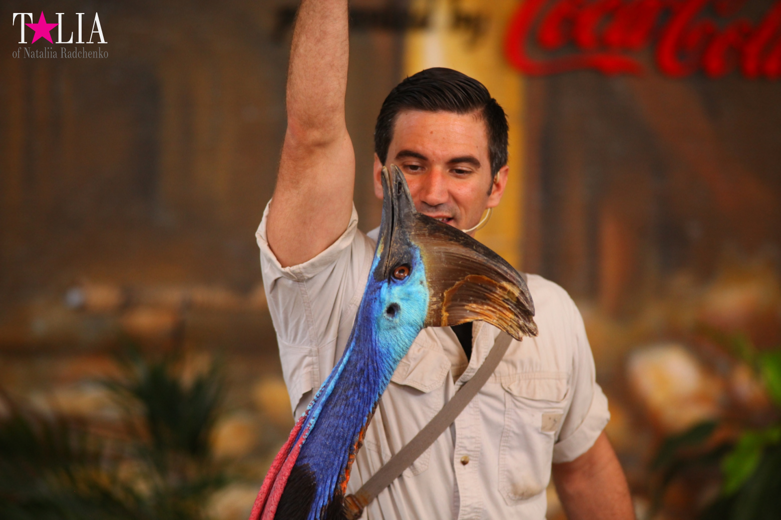 Птицы Джангл Айленд, Майами, Флорида