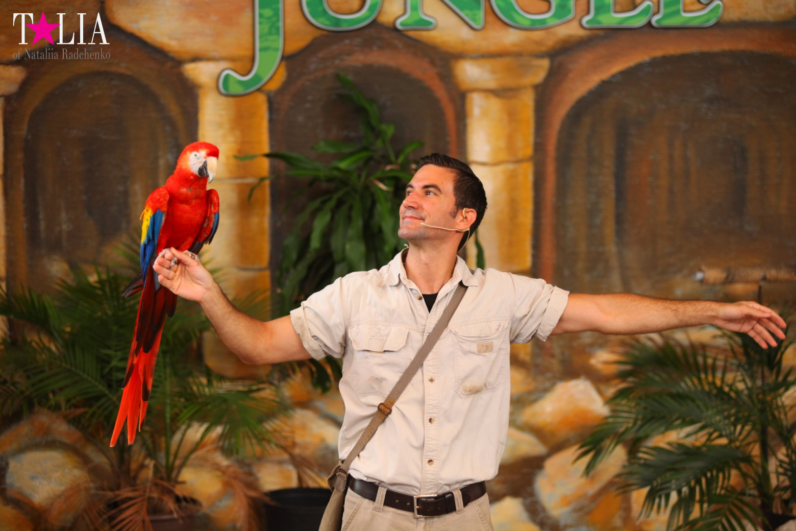 Птицы Джангл Айленд, Майами, Флорида