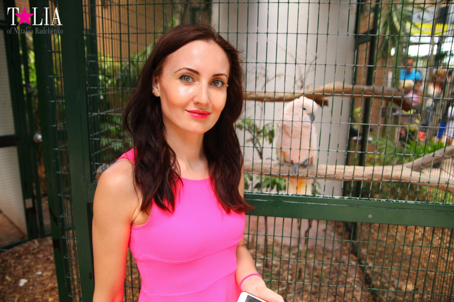 Птицы Джангл Айленд, Майами, Флорида