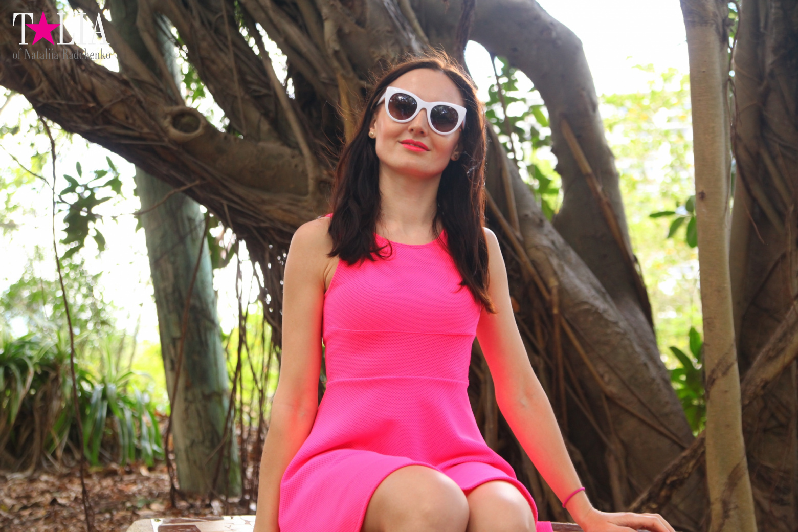 Кенгуру, тигры, черепахи и козлы Джангл Айленд, Майами, Флорида