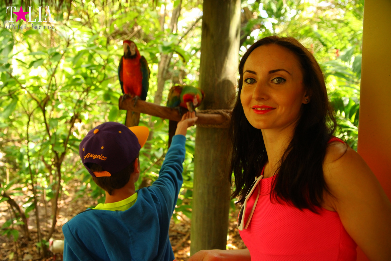 Птицы Джангл Айленд, Майами, Флорида